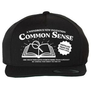 Funny Common Sense Advertisement Wool Snapback Cap