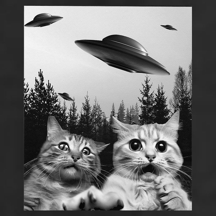 Funny Cat Selfie with UFOs Cool Comfort Performance Bucket Hat