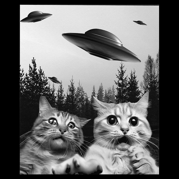 Funny Cat Selfie with UFOs Youth Performance Sprint T-Shirt