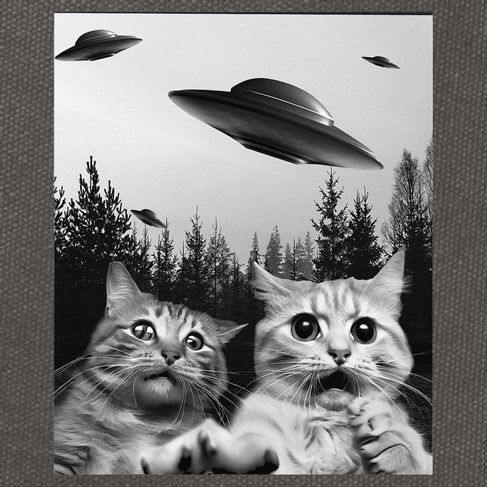 Funny Cat Selfie with UFOs Cotton Canvas Backpack