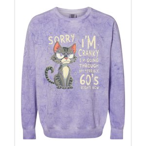 Fun Cat Sorry IM Cranky IM Going Through My Terrible 60S Colorblast Crewneck Sweatshirt