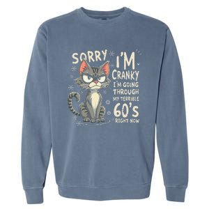 Fun Cat Sorry IM Cranky IM Going Through My Terrible 60S Garment-Dyed Sweatshirt