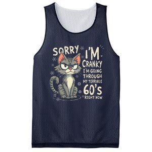 Fun Cat Sorry IM Cranky IM Going Through My Terrible 60S Mesh Reversible Basketball Jersey Tank