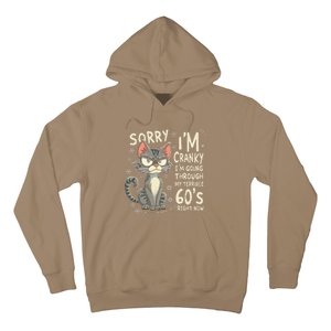 Fun Cat Sorry IM Cranky IM Going Through My Terrible 60S Hoodie