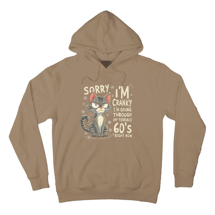 Fun Cat Sorry IM Cranky IM Going Through My Terrible 60S Hoodie