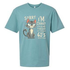 Fun Cat Sorry IM Cranky IM Going Through My Terrible 60S Sueded Cloud Jersey T-Shirt