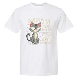 Fun Cat Sorry IM Cranky IM Going Through My Terrible 60S Garment-Dyed Heavyweight T-Shirt