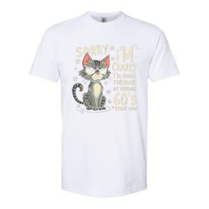 Fun Cat Sorry IM Cranky IM Going Through My Terrible 60S Softstyle CVC T-Shirt