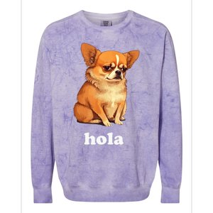 Funny Chihuahua speaks Spanish – Hi (Hola) Colorblast Crewneck Sweatshirt