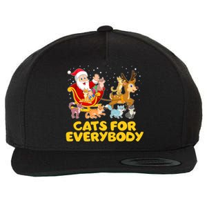 Funny Christmas Santa Claus Cats For Everybody Wool Snapback Cap