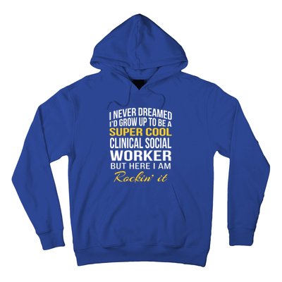 Funny Clinical Social Worker Cool Gift Funny Gift Funny Gift Hoodie