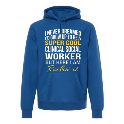 Funny Clinical Social Worker Cool Gift Funny Gift Funny Gift Premium Hoodie