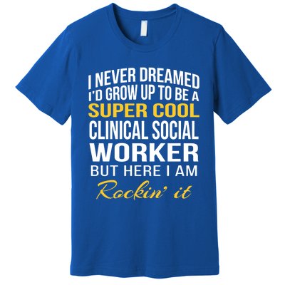 Funny Clinical Social Worker Cool Gift Funny Gift Funny Gift Premium T-Shirt