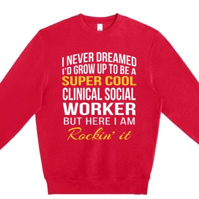 Funny Clinical Social Worker Cool Gift Funny Gift Funny Gift Premium Crewneck Sweatshirt