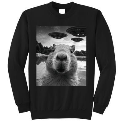 Funny Capybara Selfie with UFOs Weird Sweatshirt