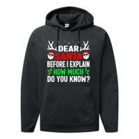 Funny Christmas Shirts Adults Dear Santa I Can Explain Performance Fleece Hoodie