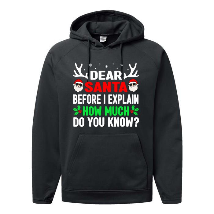 Funny Christmas Shirts Adults Dear Santa I Can Explain Performance Fleece Hoodie