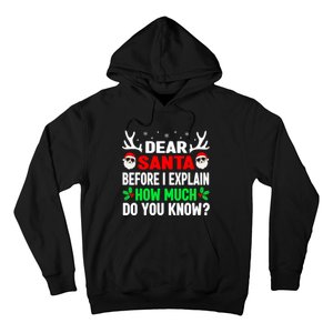 Funny Christmas Shirts Adults Dear Santa I Can Explain Hoodie