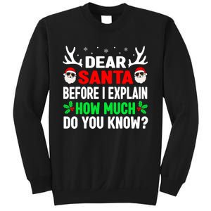 Funny Christmas Shirts Adults Dear Santa I Can Explain Sweatshirt