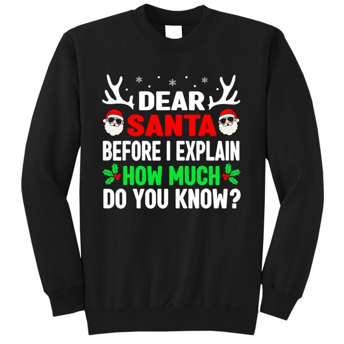 Funny Christmas Shirts Adults Dear Santa I Can Explain Sweatshirt