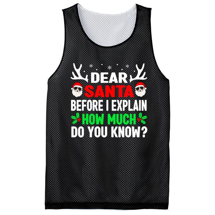 Funny Christmas Shirts Adults Dear Santa I Can Explain Mesh Reversible Basketball Jersey Tank