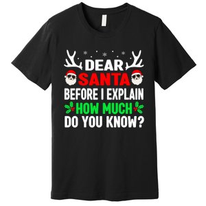 Funny Christmas Shirts Adults Dear Santa I Can Explain Premium T-Shirt