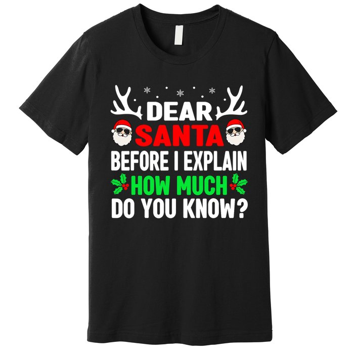 Funny Christmas Shirts Adults Dear Santa I Can Explain Premium T-Shirt