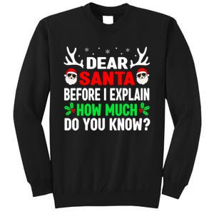 Funny Christmas Shirts Adults Dear Santa I Can Explain Tall Sweatshirt