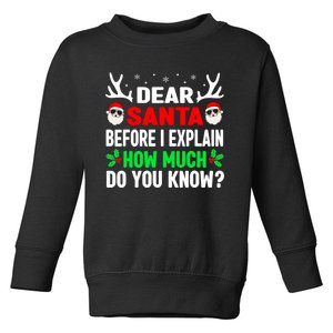 Funny Christmas Shirts Adults Dear Santa I Can Explain Toddler Sweatshirt