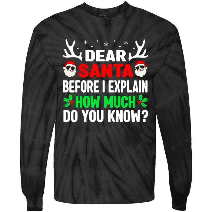 Funny Christmas Shirts Adults Dear Santa I Can Explain Tie-Dye Long Sleeve Shirt