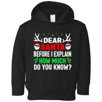 Funny Christmas Shirts Adults Dear Santa I Can Explain Toddler Hoodie