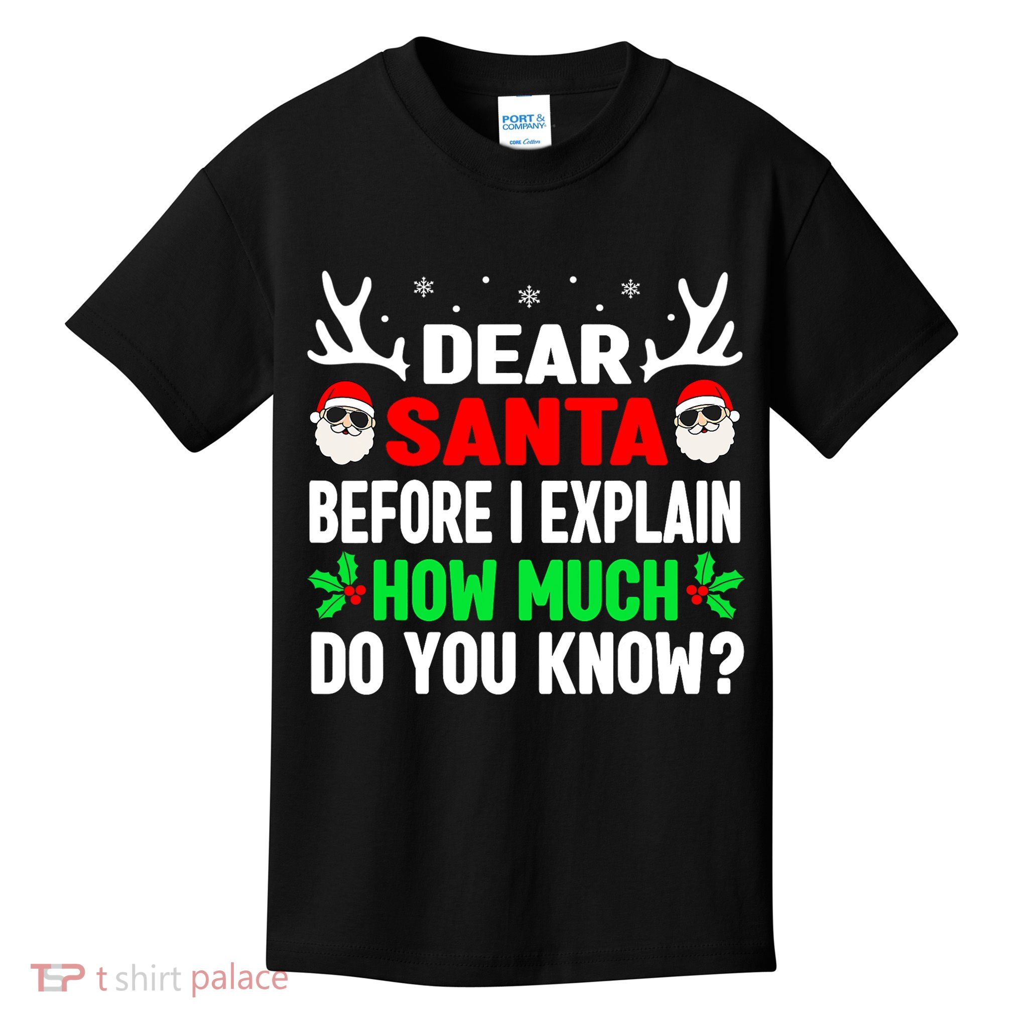 Funny Christmas Shirts Adults Dear Santa I Can Explain Kids T-Shirt