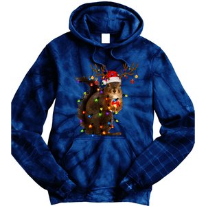 Funny Christmas Squirrel Lights Reindeer Christmas Costume Tie Dye Hoodie