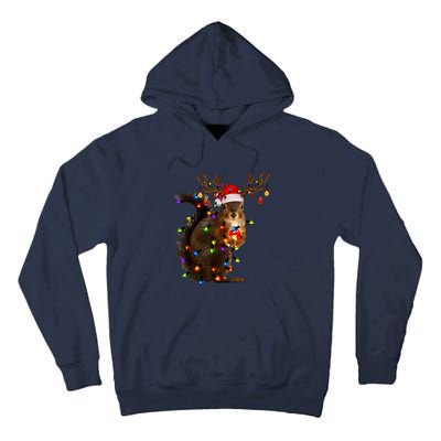 Funny Christmas Squirrel Lights Reindeer Christmas Costume Tall Hoodie