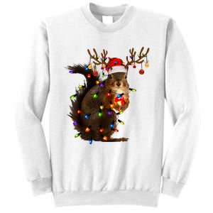 Funny Christmas Squirrel Lights Reindeer Christmas Costume Sweatshirt