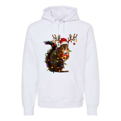 Funny Christmas Squirrel Lights Reindeer Christmas Costume Premium Hoodie