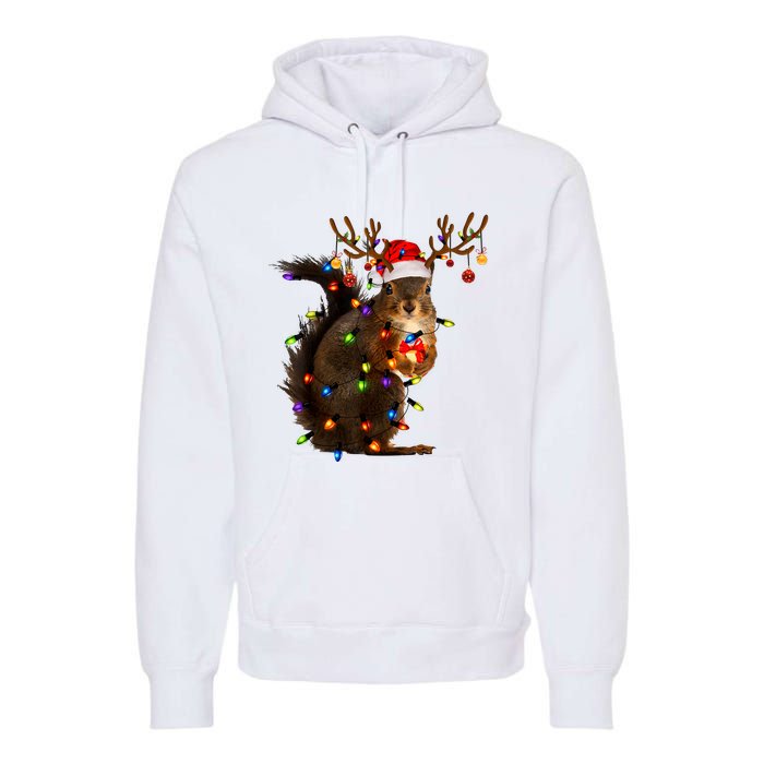 Funny Christmas Squirrel Lights Reindeer Christmas Costume Premium Hoodie