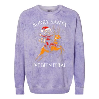 Funny Christmas Sorry Santa Xmas Colorblast Crewneck Sweatshirt