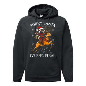 Funny Christmas Sorry Santa Xmas Performance Fleece Hoodie