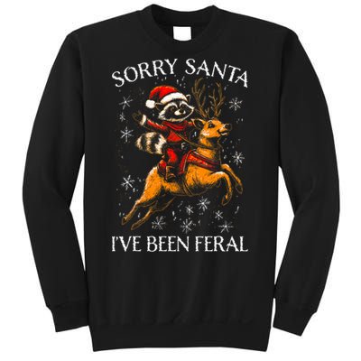 Funny Christmas Sorry Santa Xmas Sweatshirt