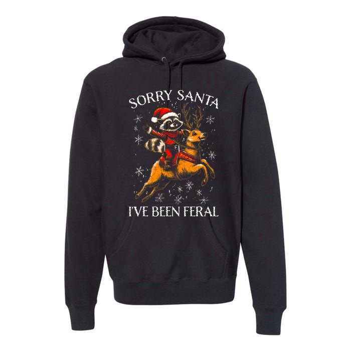 Funny Christmas Sorry Santa Xmas Premium Hoodie