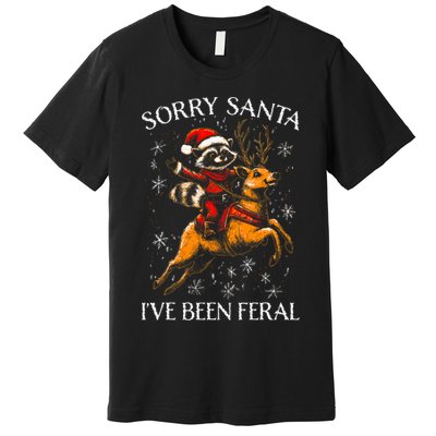 Funny Christmas Sorry Santa Xmas Premium T-Shirt