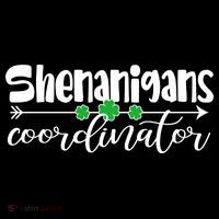 Funny Cute St Patricks Day Shenanigans Coordinator T-Shirt