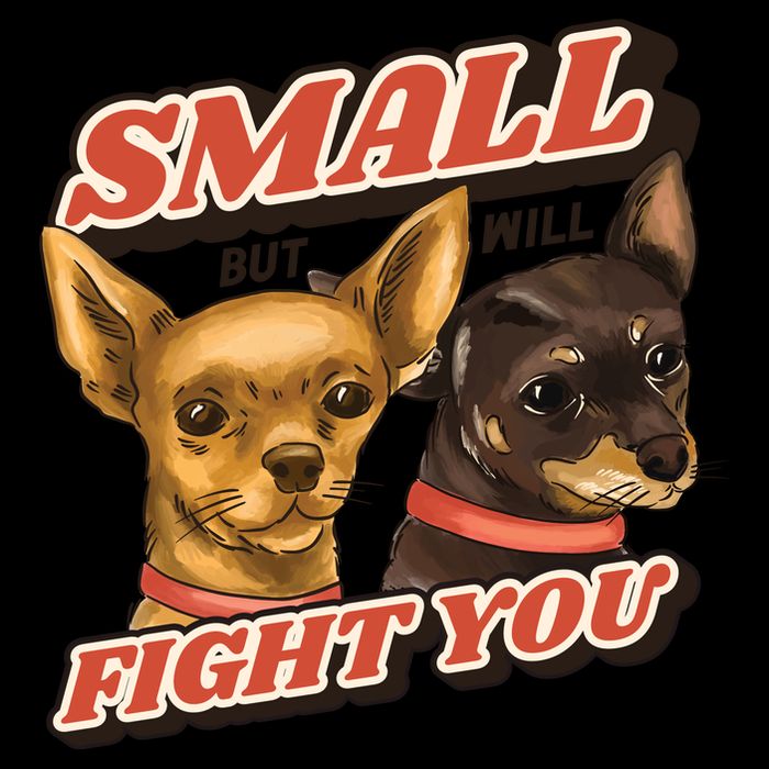 Funny Chiwawa Small But Will Fight You Baby Bodysuit