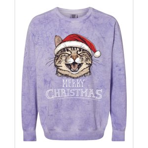 Funny Cat Santa Cool Christmas Cat Lover Colorblast Crewneck Sweatshirt