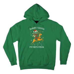 Funny Christmas Sorry Santa Reindeer Xmas Boy Girl Gift Hoodie