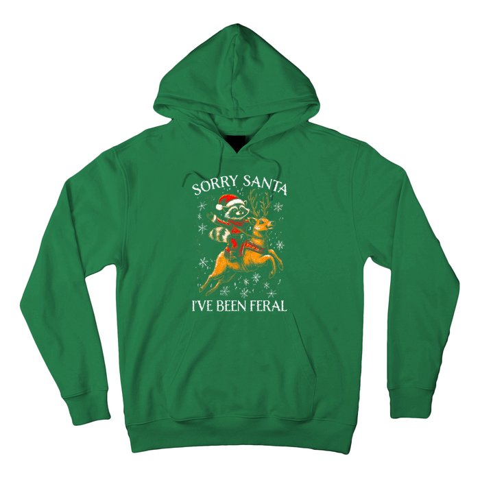 Funny Christmas Sorry Santa Reindeer Xmas Boy Girl Gift Hoodie