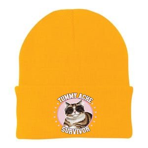 Funny Cat Stomach Ache My Tummy Hurts Tummy Ache Survivor Knit Cap Winter Beanie