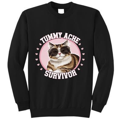 Funny Cat Stomach Ache My Tummy Hurts Tummy Ache Survivor Sweatshirt