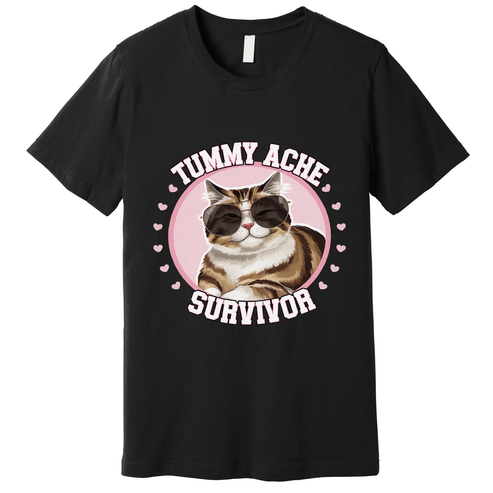 Funny Cat Stomach Ache My Tummy Hurts Tummy Ache Survivor Premium T-Shirt